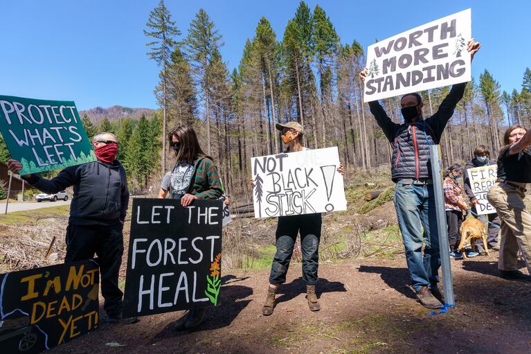 Environmental activists