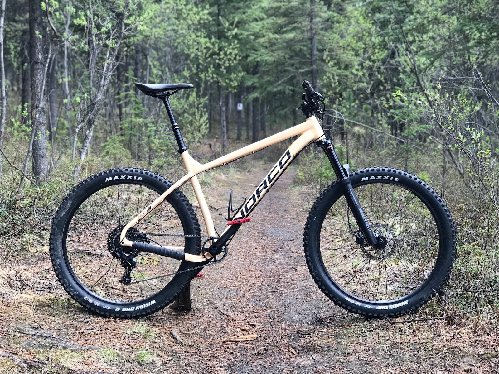 norco torrent review