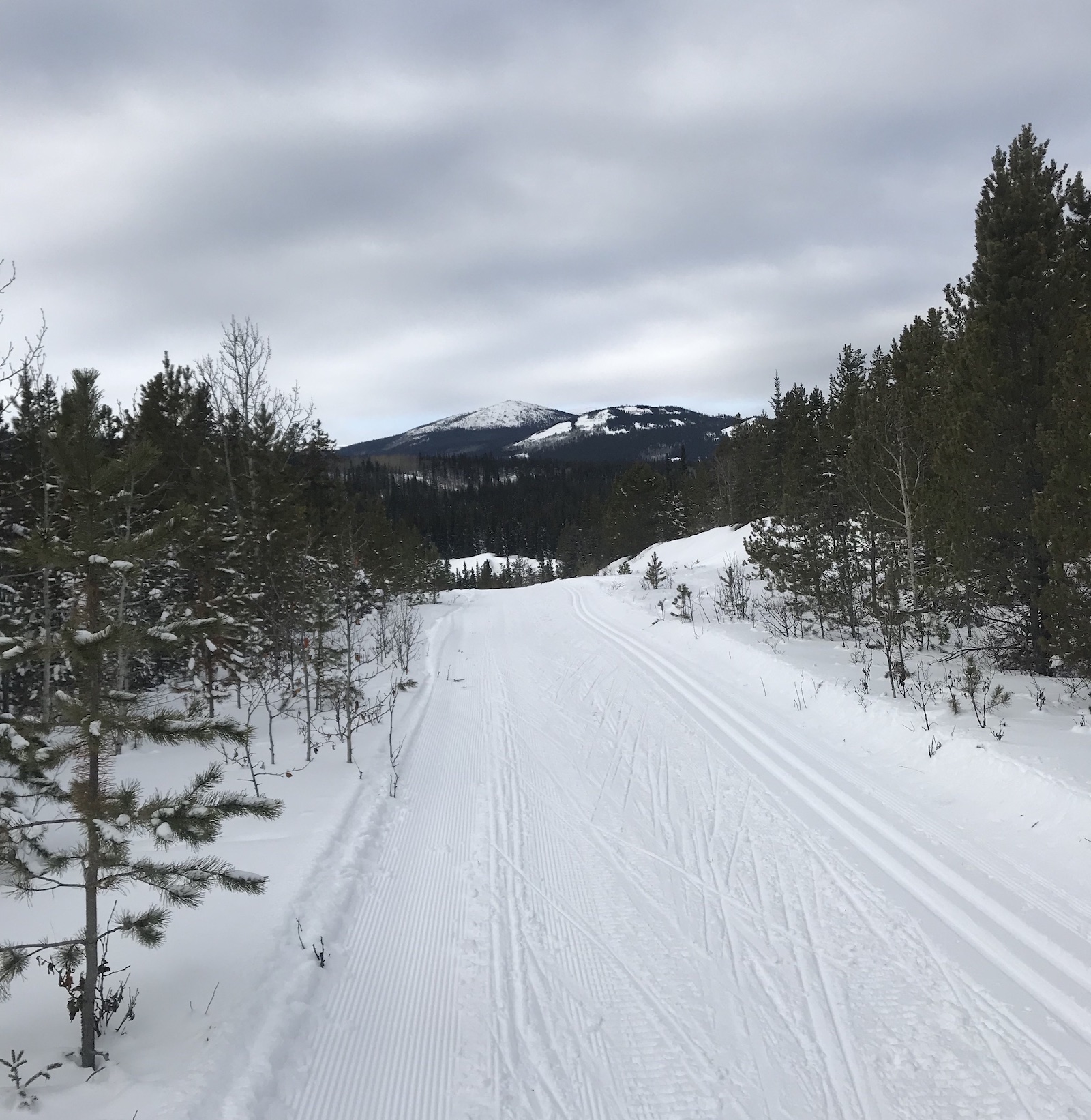 Somewhere on the xc ski trail, mid-race