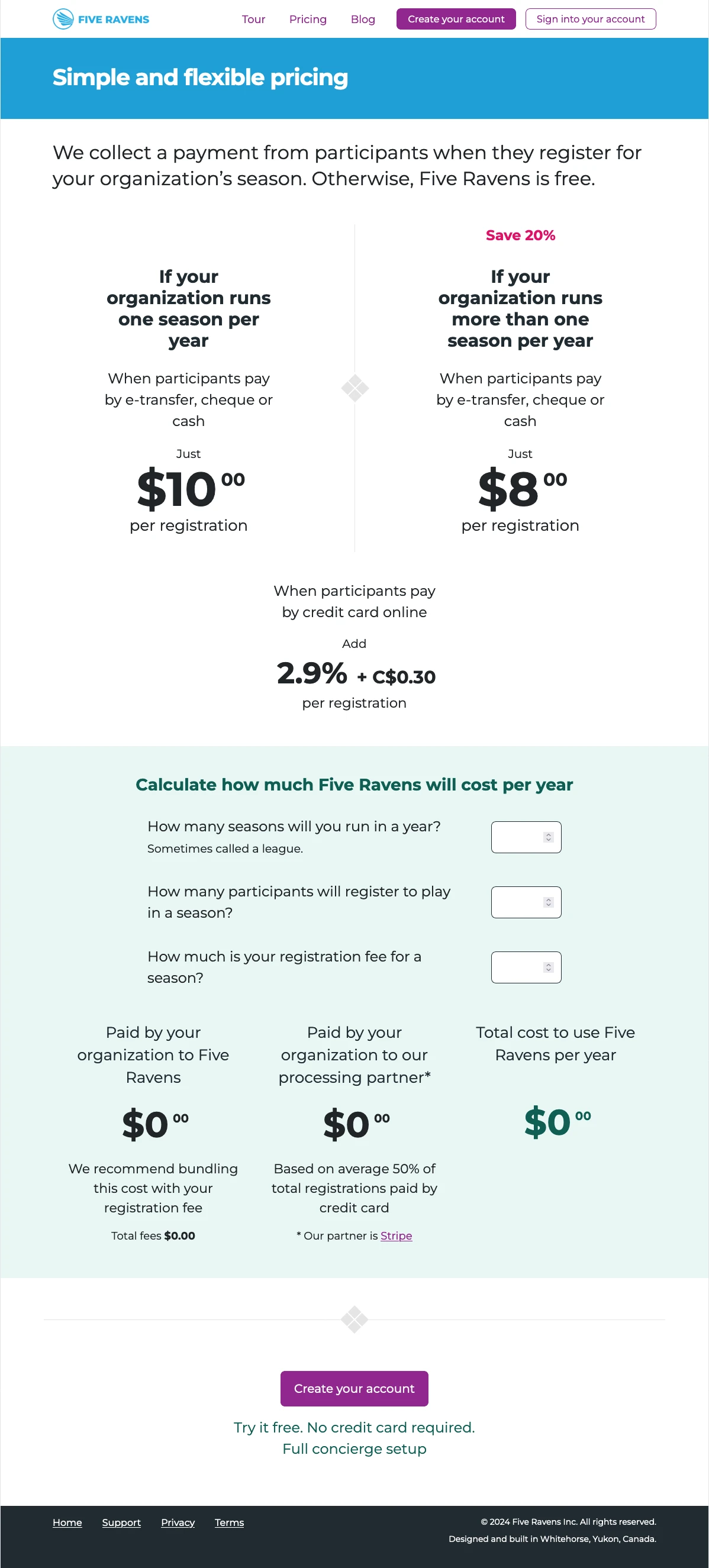 Website pricing